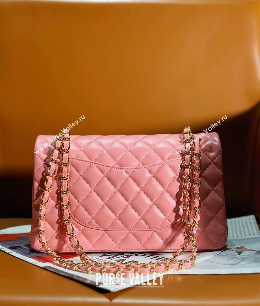 Chanel Lambskin Classic Flap Bag with Badges Charm A01112 Coral Pink 2023 (yezi-2312260115)