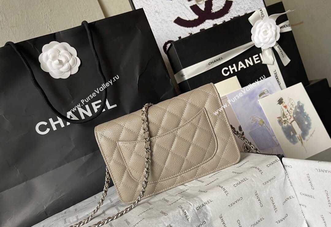 Chanel Grained Calfskin Classic Wallet on Chain WOC Silver/Grey 2024 (yingf-240117021)