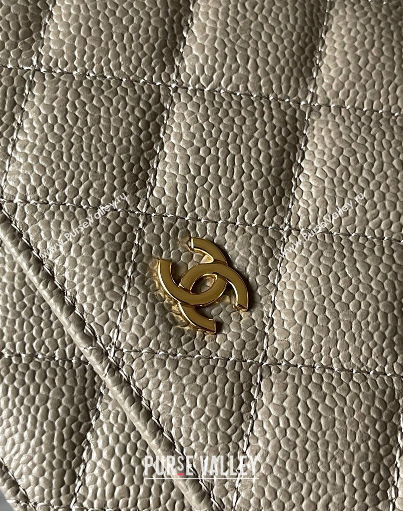 Chanel Grained Calfskin Classic Wallet on Chain WOC Gold/Grey 2024 (yingf-240117022)