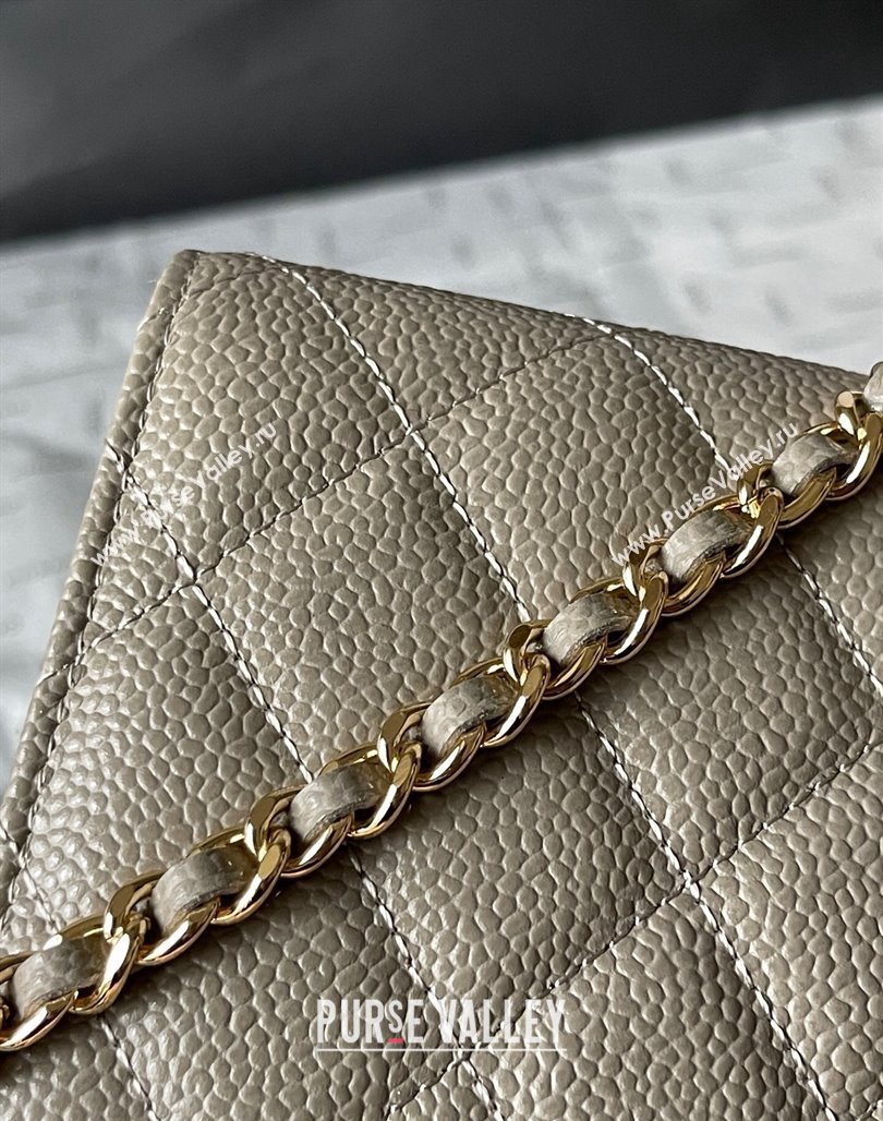 Chanel Grained Calfskin Classic Wallet on Chain WOC Gold/Grey 2024 (yingf-240117022)