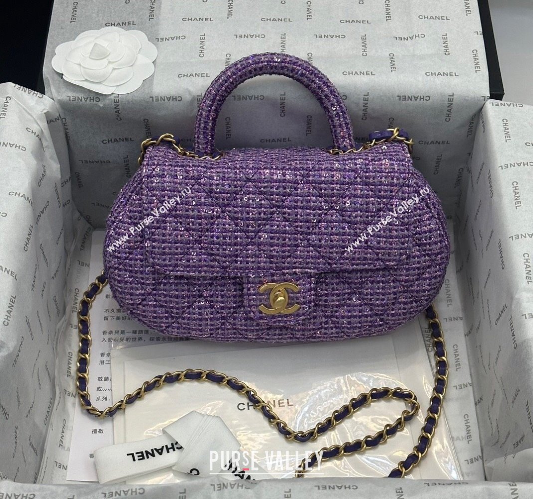 Chanel Tweed Sequins Bag with Top Handle AS4569 Purple 2024 (yezi-240116020)