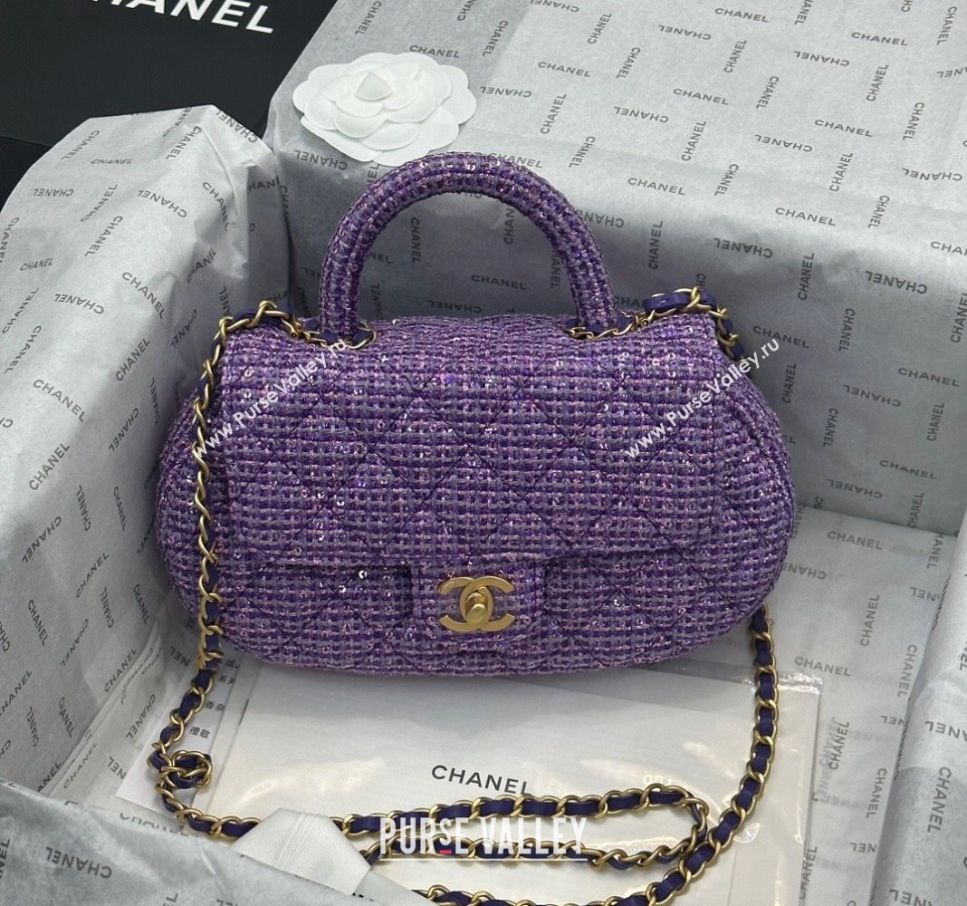 Chanel Tweed Sequins Bag with Top Handle AS4569 Purple 2024 (yezi-240116020)