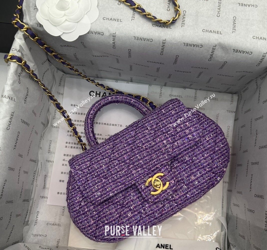 Chanel Tweed Sequins Bag with Top Handle AS4569 Purple 2024 (yezi-240116020)