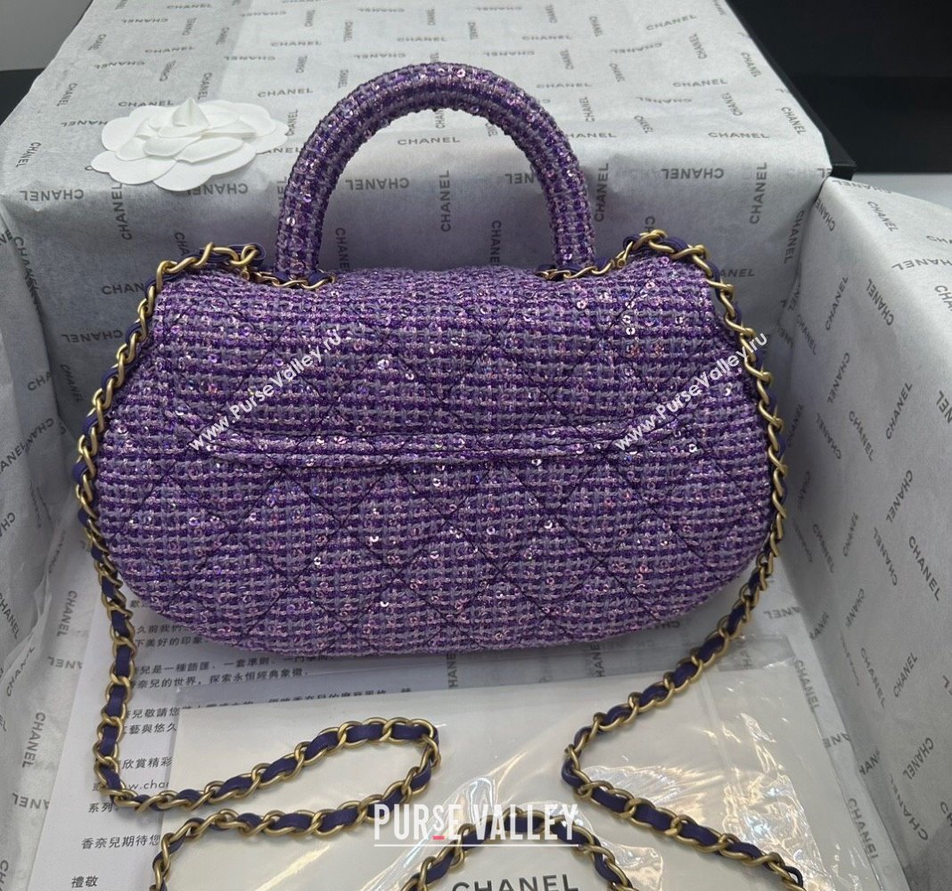 Chanel Tweed Sequins Bag with Top Handle AS4569 Purple 2024 (yezi-240116020)