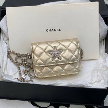 Chanel Grained Calfskin Belt Bag with Crystals Star Gold 2024 (yezi-240116051)