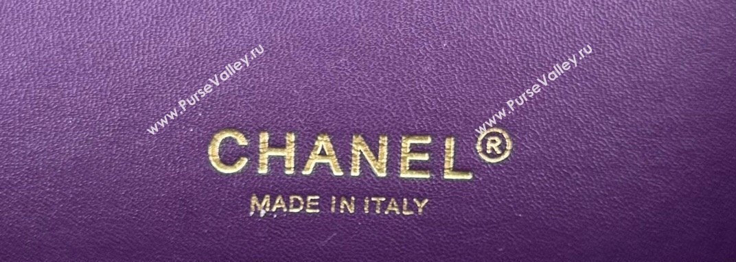 Chanel Classic Tweed Mini Flap Bag with Sequins A01112 Purple 2024 0116 (yezi-240116032)