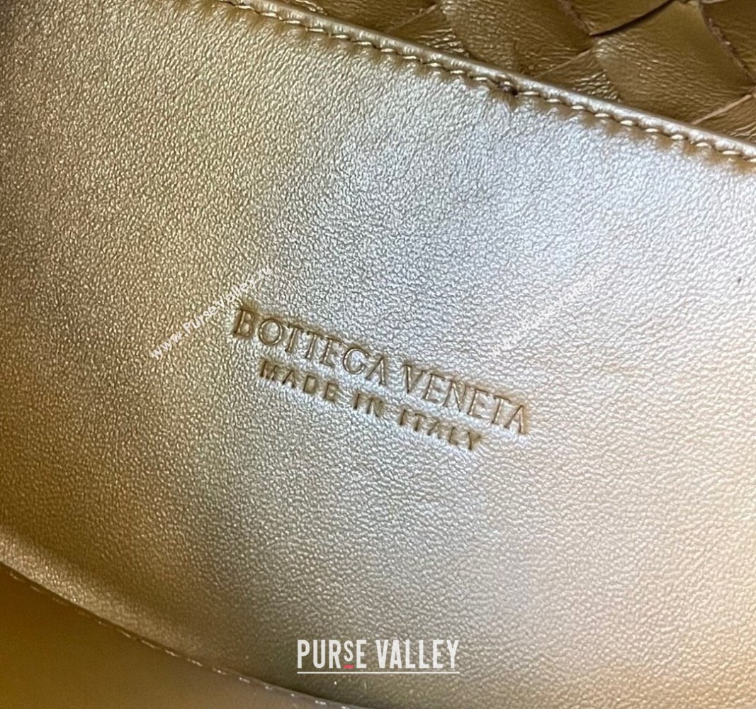 Bottega Veneta Small Andiamo Top Handle Bag in Intrecciate Suede Brown 2024 743568 (WT-240119102)