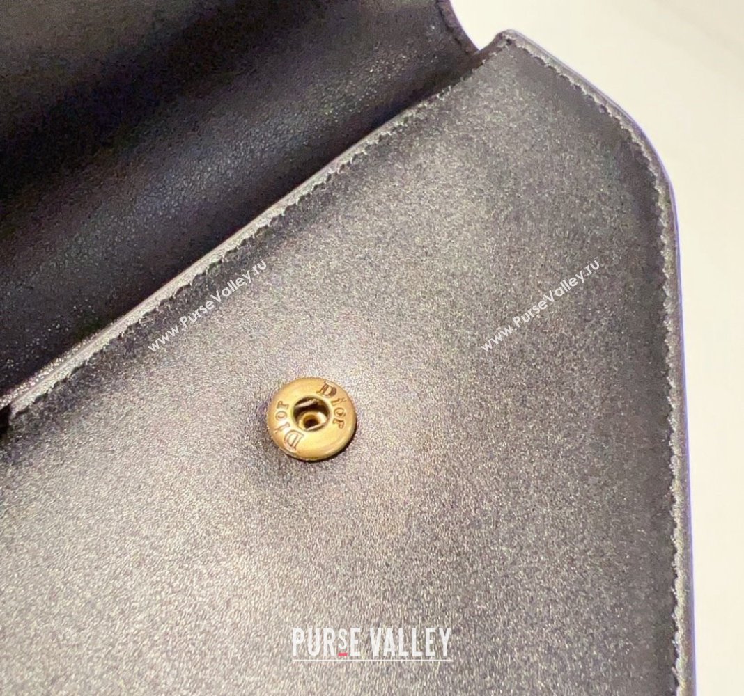 Dior Saddle Bag Belt in Calfskin Black/Brown 2024 0408 (99-240408128)