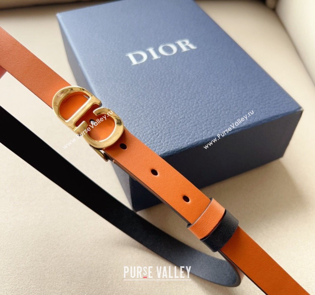 Dior 30 Montaigne Calfskin Belt 2cm with CD Buckle Brown 2024 0408 (99-240408122)