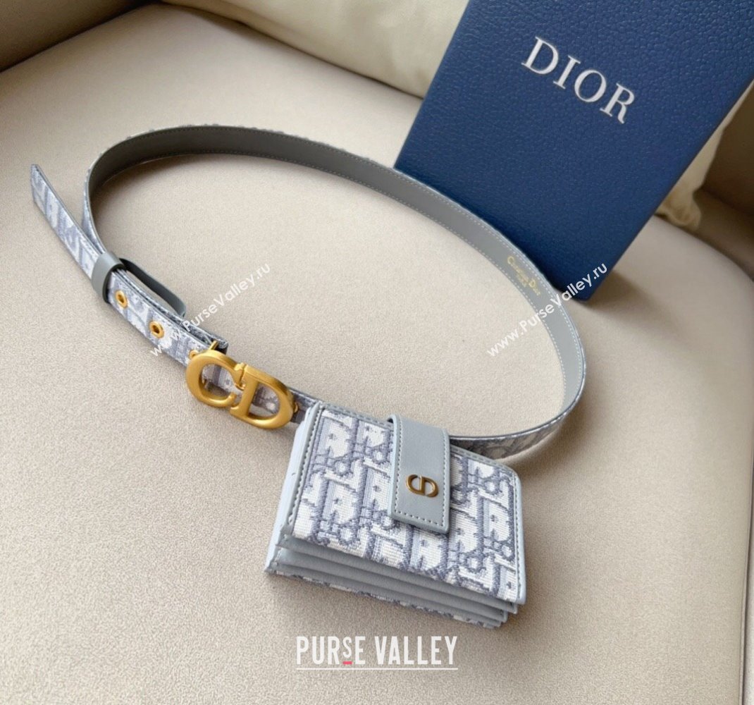 Dior 30 Montaigne Card Holder bag Belt in Oblique Canvas Grey 2024 0510 (99-240510088)