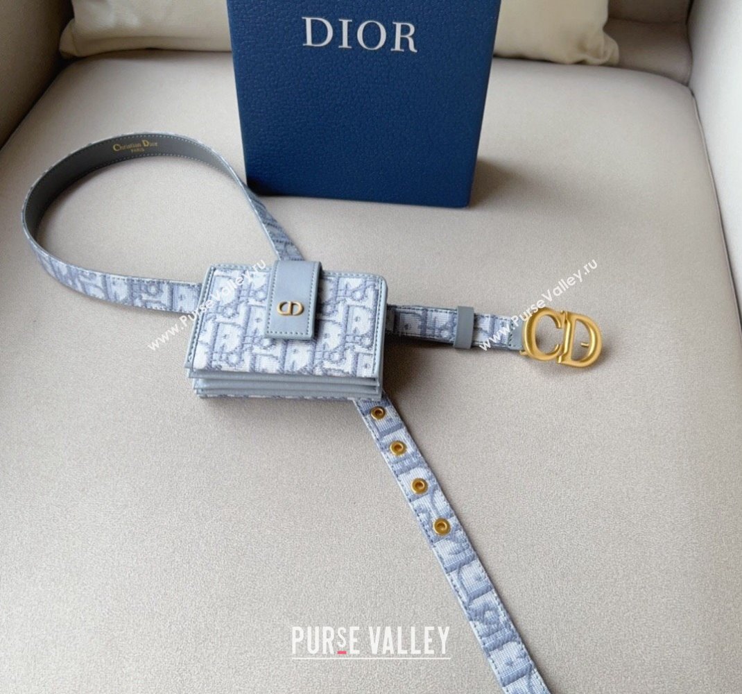 Dior 30 Montaigne Card Holder bag Belt in Oblique Canvas Grey 2024 0510 (99-240510088)