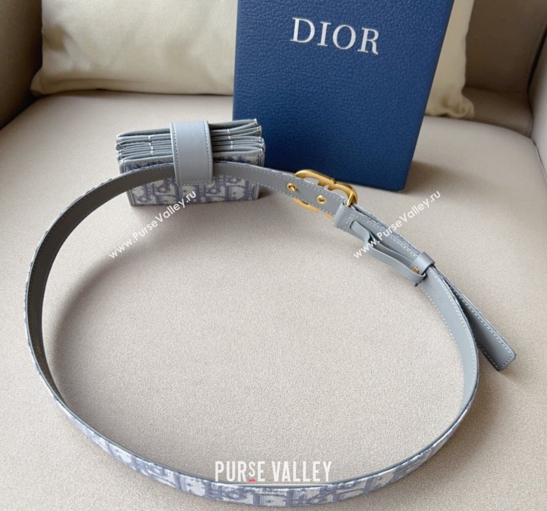 Dior 30 Montaigne Card Holder bag Belt in Oblique Canvas Grey 2024 0510 (99-240510088)