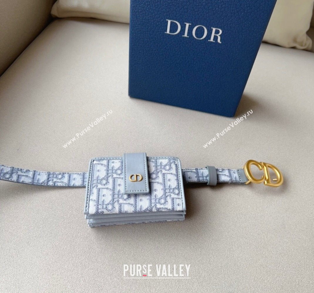 Dior 30 Montaigne Card Holder bag Belt in Oblique Canvas Grey 2024 0510 (99-240510088)