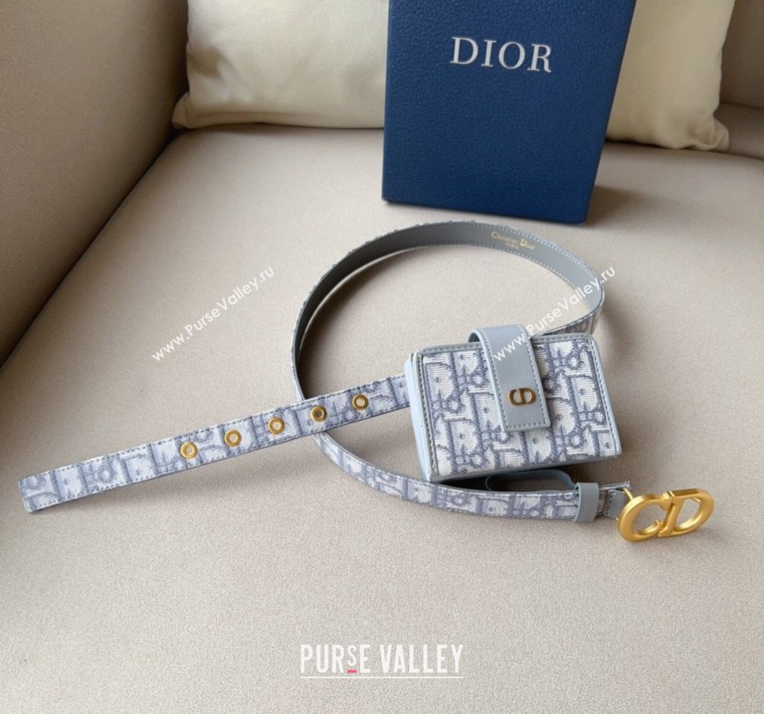 Dior 30 Montaigne Card Holder bag Belt in Oblique Canvas Grey 2024 0510 (99-240510088)