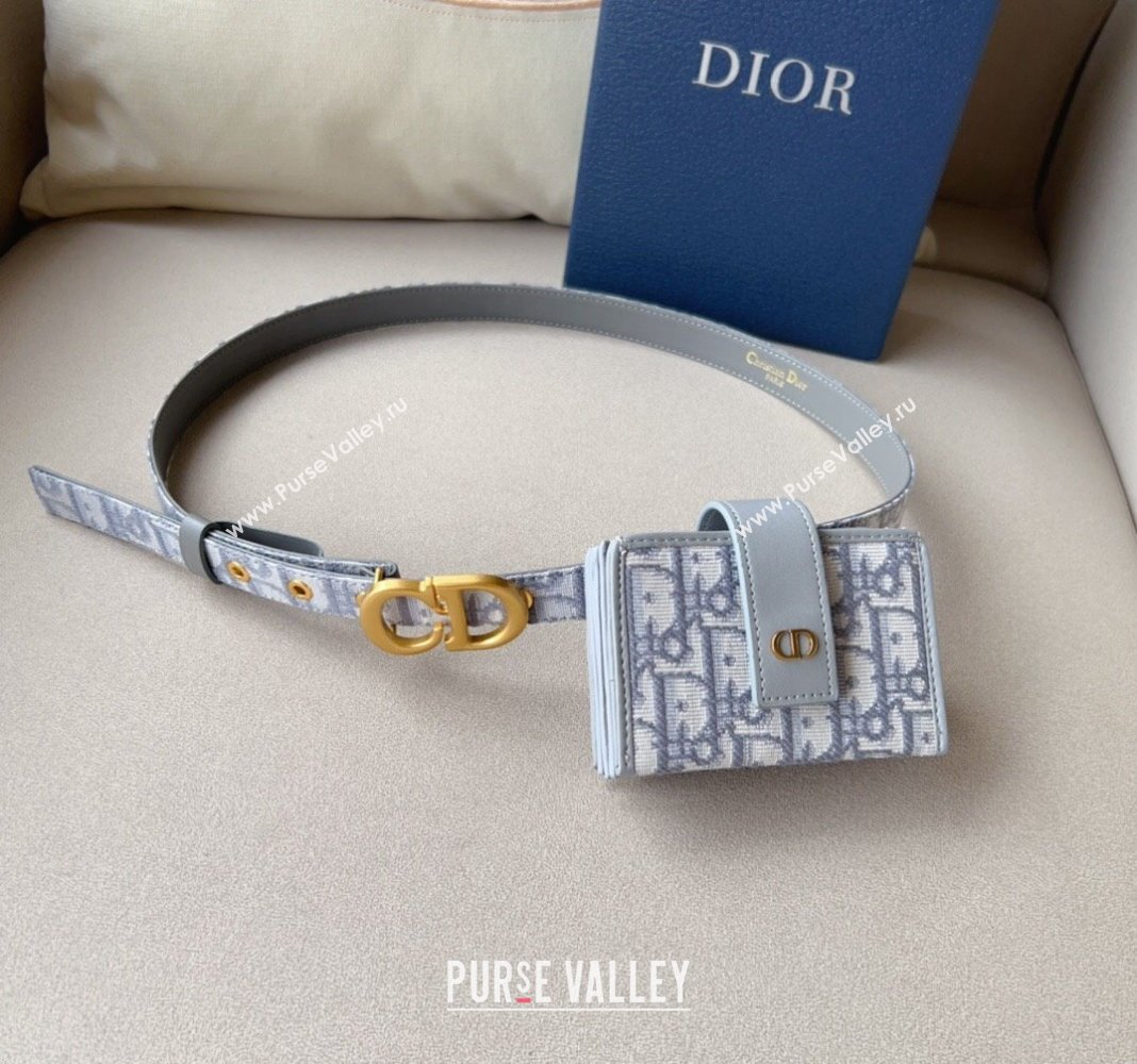 Dior 30 Montaigne Card Holder bag Belt in Oblique Canvas Grey 2024 0510 (99-240510088)