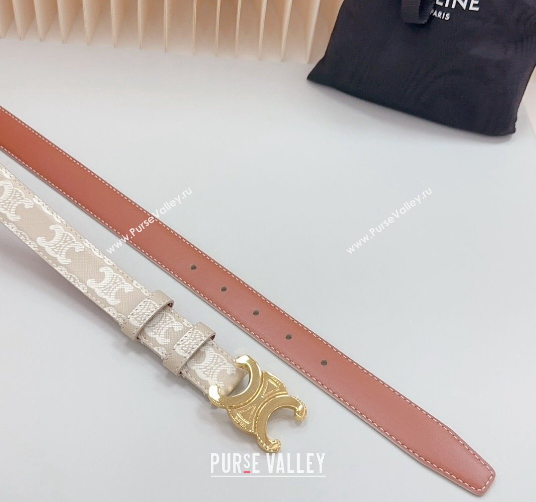 Celine Triomphe Canvas Belt 2.5cm Grey 2024 0615 (99-240617001)