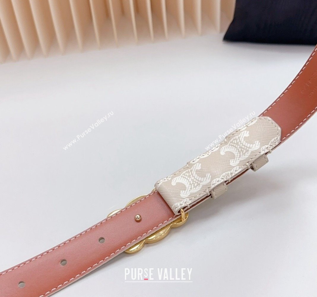 Celine Triomphe Canvas Belt 2.5cm Grey 2024 0615 (99-240617001)