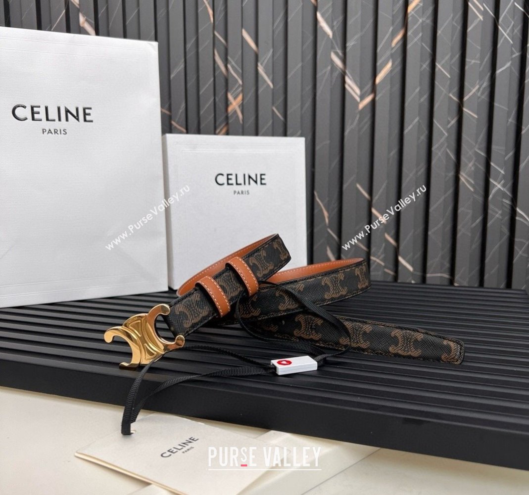 Celine Triomphe Canvas Belt 2.5cm Brown/Tan 2024 0615 (99-240615053)