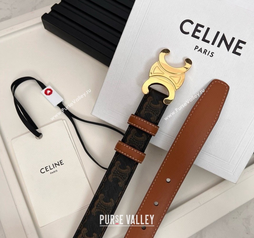 Celine Triomphe Canvas Belt 2.5cm Brown/Tan 2024 0615 (99-240615053)