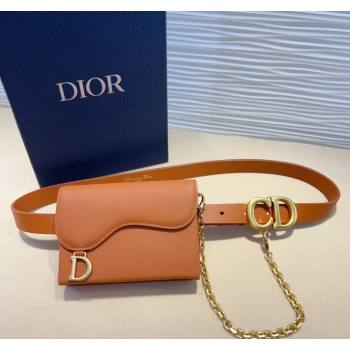 Dior Calfskin Saddle Pouch belt 2cm Brown 2024 0820 (99-240820060)