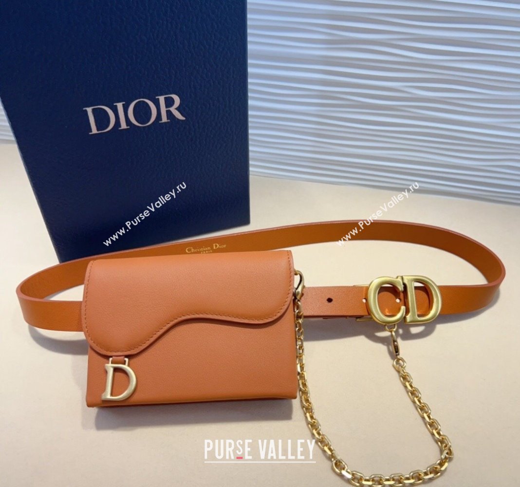 Dior Calfskin Saddle Pouch belt 2cm Brown 2024 0820 (99-240820060)