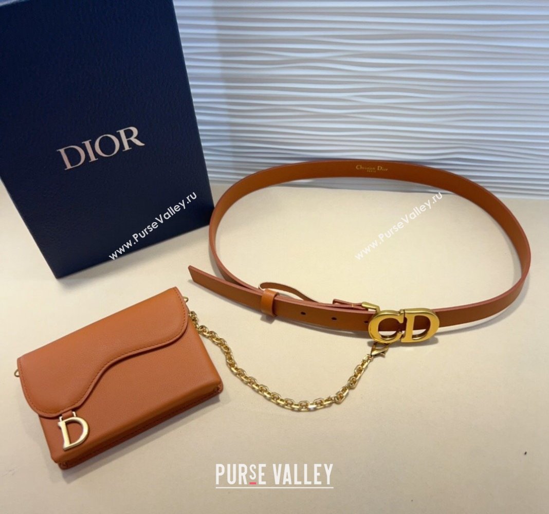 Dior Calfskin Saddle Pouch belt 2cm Brown 2024 0820 (99-240820060)