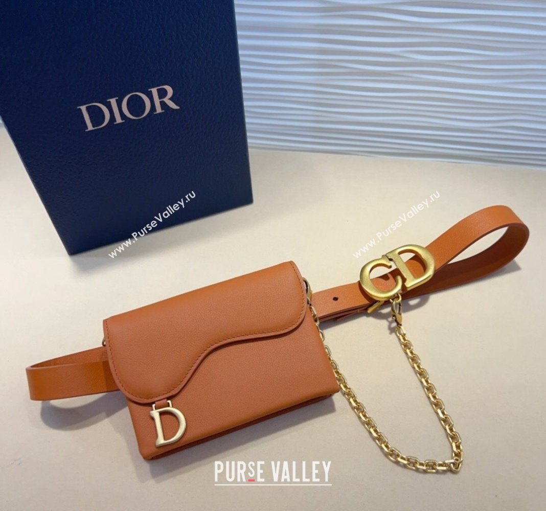 Dior Calfskin Saddle Pouch belt 2cm Brown 2024 0820 (99-240820060)