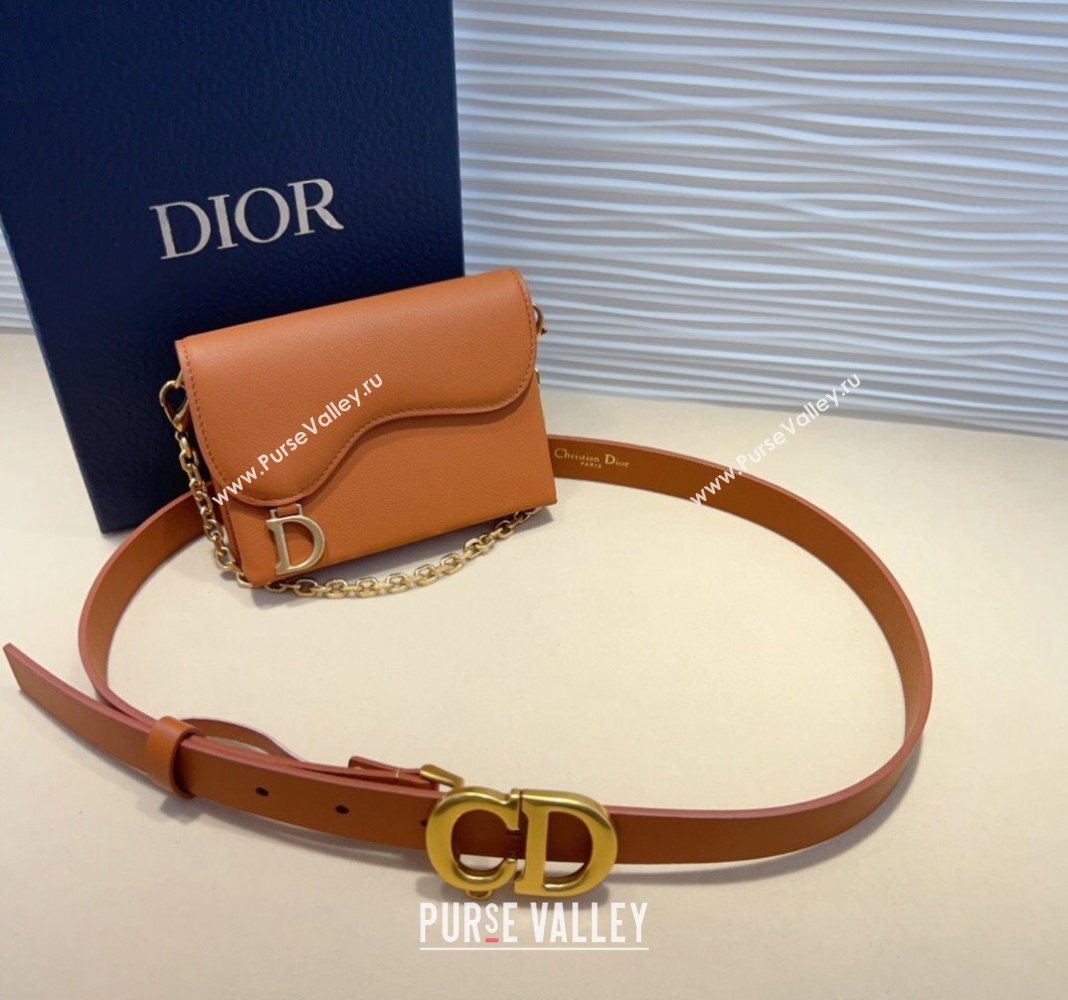 Dior Calfskin Saddle Pouch belt 2cm Brown 2024 0820 (99-240820060)