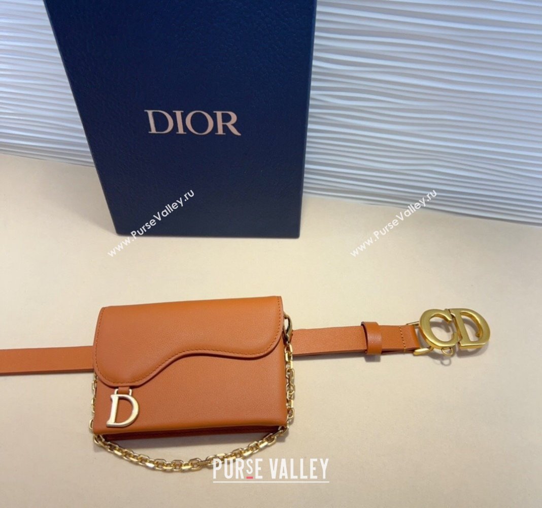 Dior Calfskin Saddle Pouch belt 2cm Brown 2024 0820 (99-240820060)