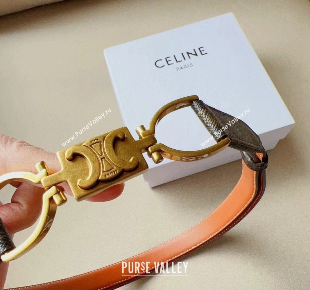 Celine Small Triomphe Canvas Belt 1.8cm with Logo Chain Brown 2024 CE102205 (99-241022049)