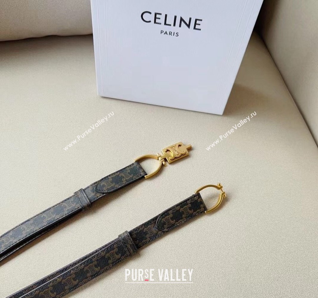 Celine Small Triomphe Canvas Belt 1.8cm with Logo Chain Brown 2024 CE102205 (99-241022049)