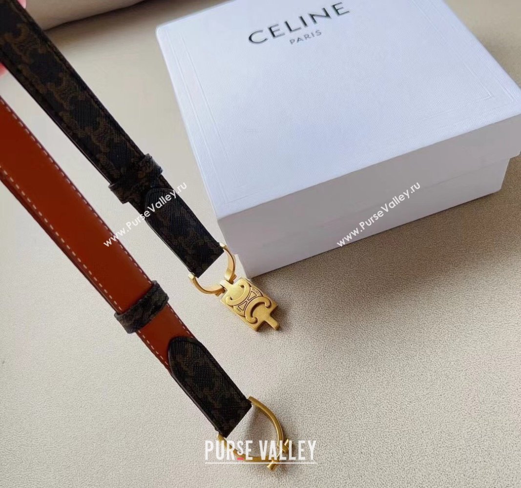 Celine Small Triomphe Canvas Belt 1.8cm with Logo Chain Brown 2024 CE102205 (99-241022049)