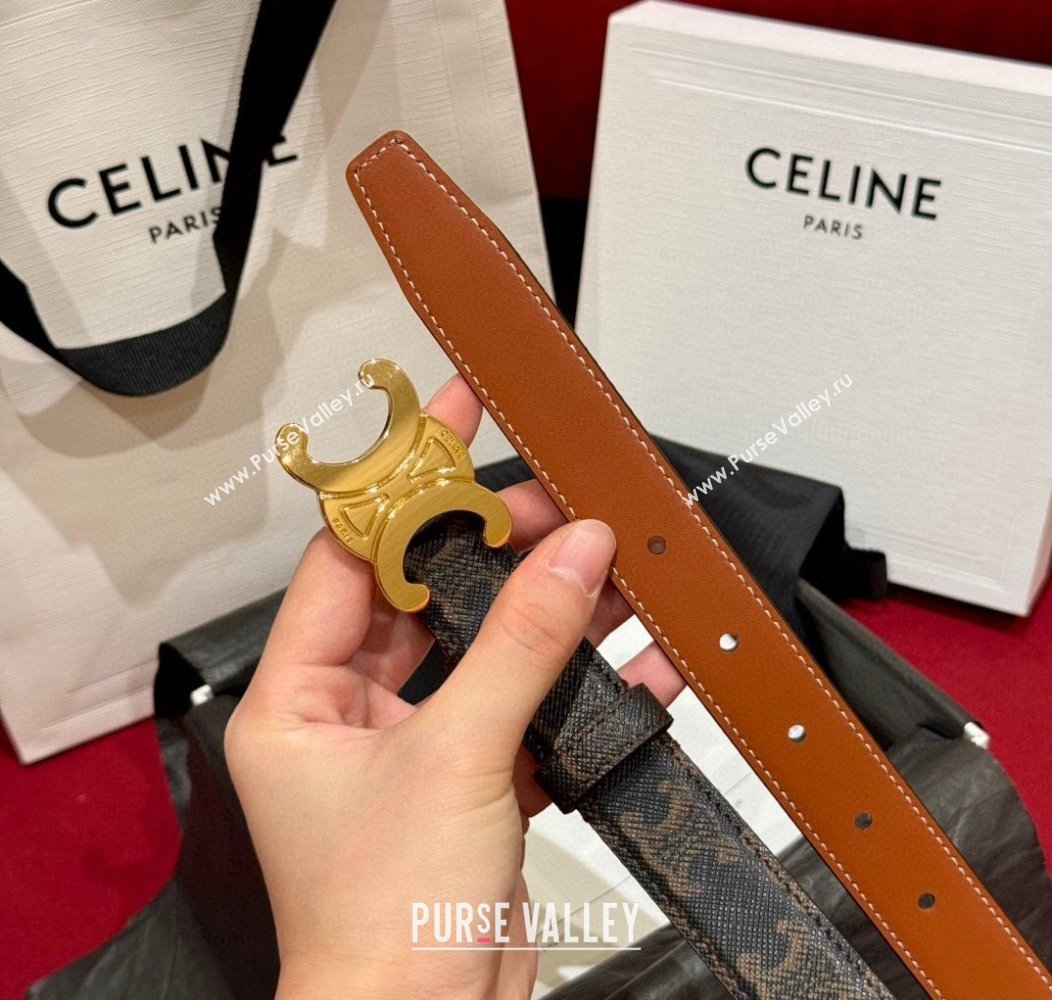 Celine Triomphe Calfskin Belt 2.5cm Brown/Gold 2024 1127 (99-241127077)