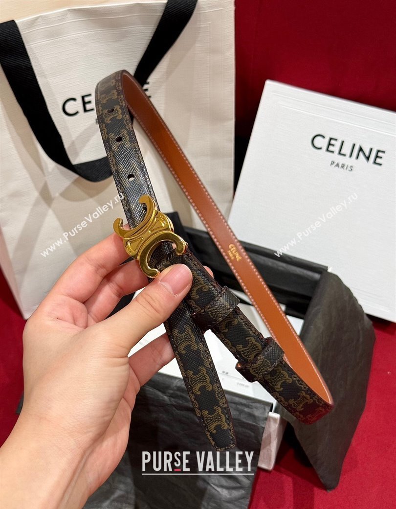 Celine Triomphe Calfskin Belt 1.8cm Brown 2024 1127 (99-241127078)