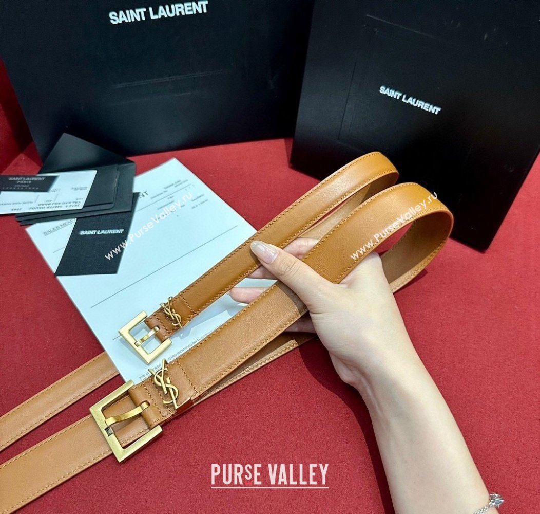 Saint Laurent Calfskin Belt 2cm/3cm Brown 2024 1127 (99-241127081)