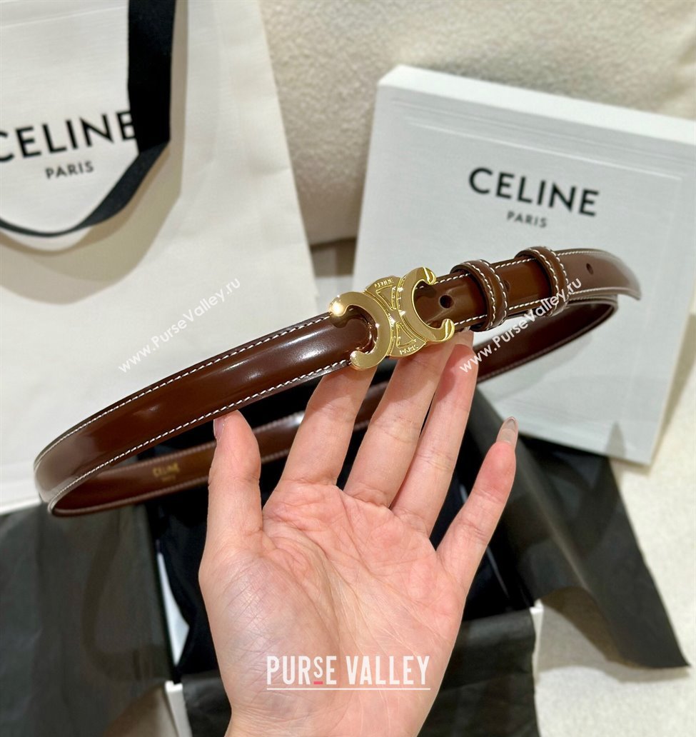 Celine Brown Calfskin Belt 2.5cm with Shiny Gold Logo 2024 1127 (99-241127091)