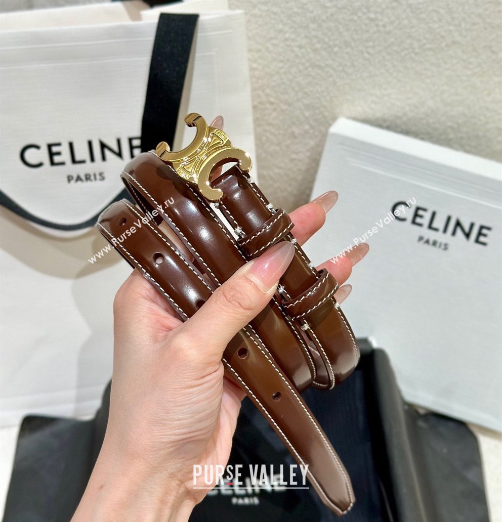 Celine Brown Calfskin Belt 2.5cm with Shiny Gold Logo 2024 1127 (99-241127091)