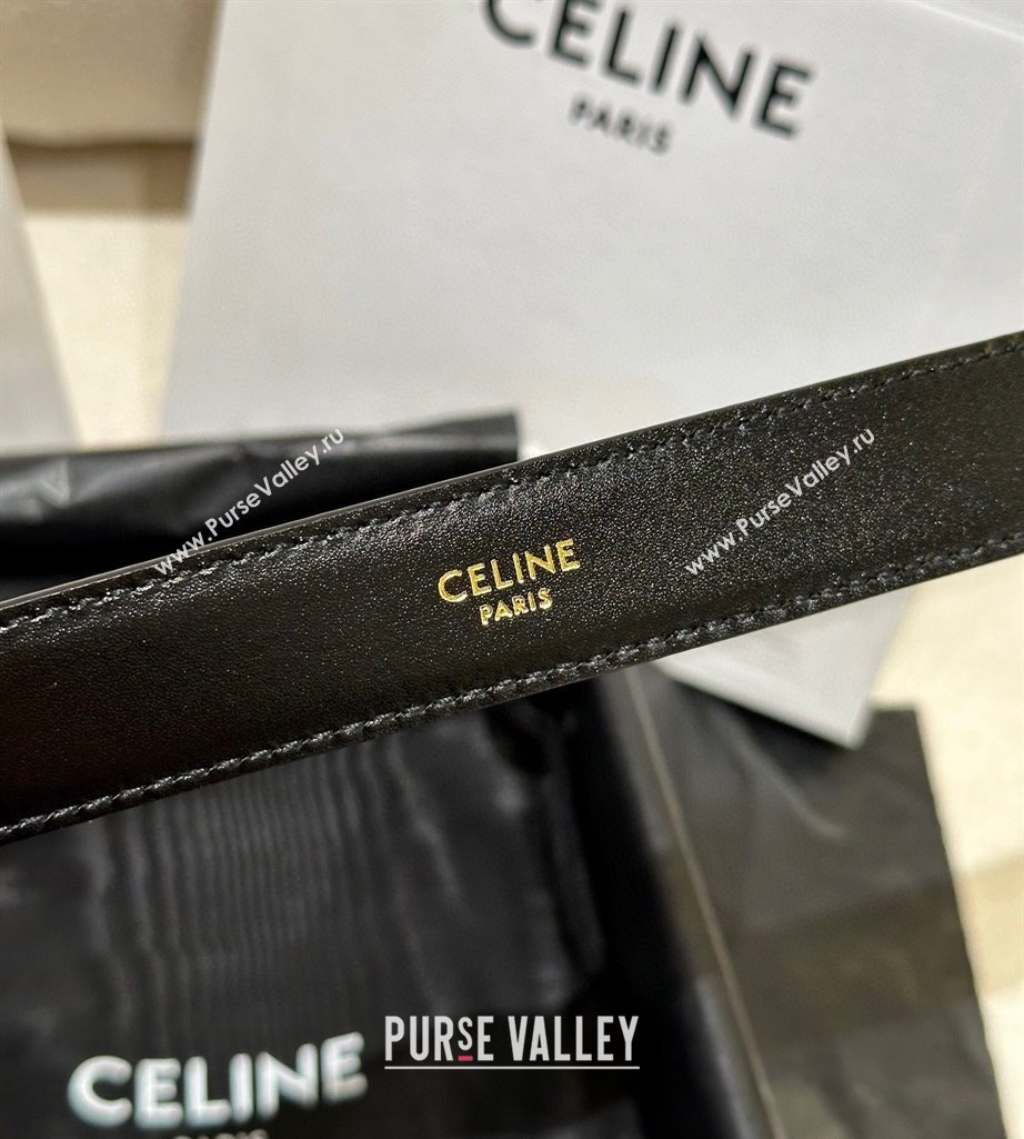 Celine Calfskin Leather Belt 2.5cm with Gold Triomphe Logo Buckle Black 2025 CE011001 (99-240110029)