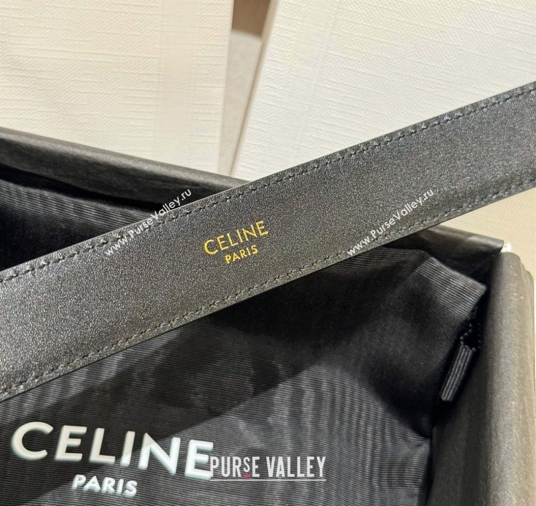 Celine Calfskin Leather Belt 2.5cm with Silver Triomphe Logo Buckle Black 2025 CE011001 (99-240110030)