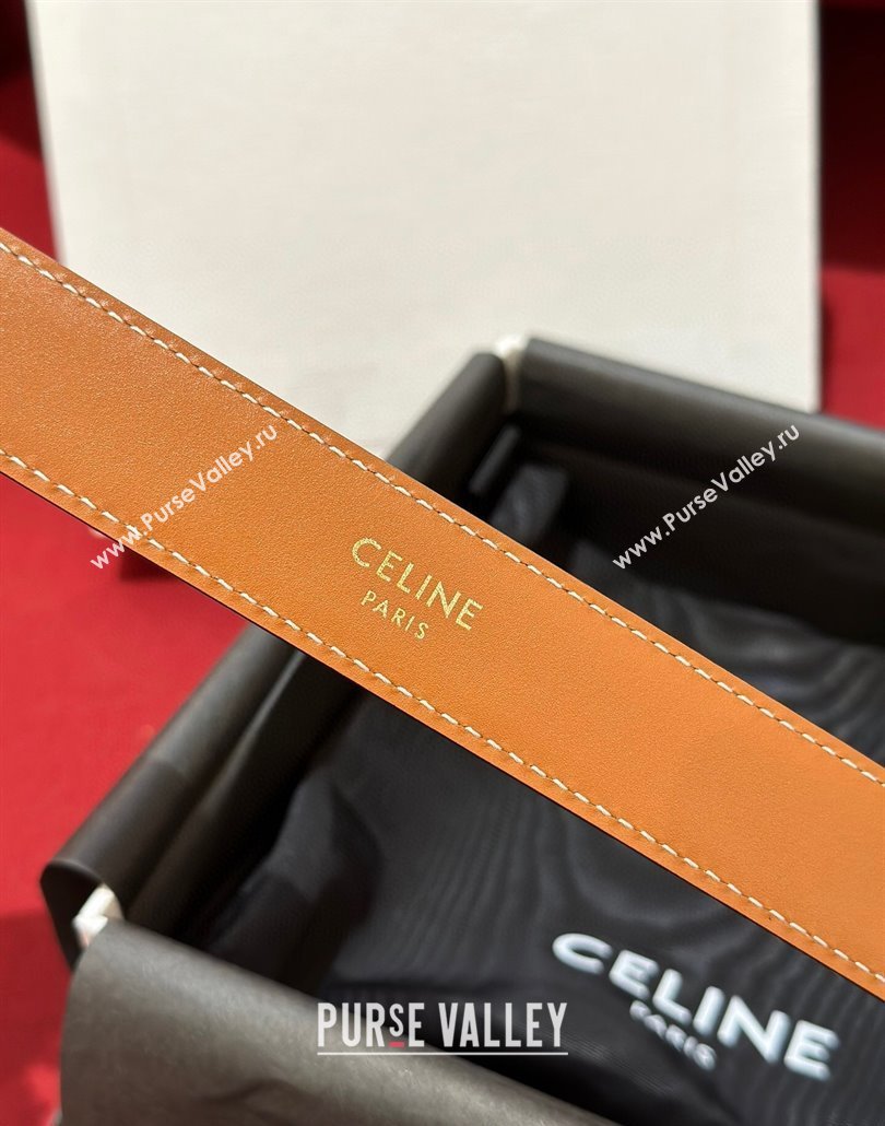 Celine Embossed Leather Belt 2.5cm with Gold Triomphe Logo Buckle Brown 2025 CE011002 (99-240110031)