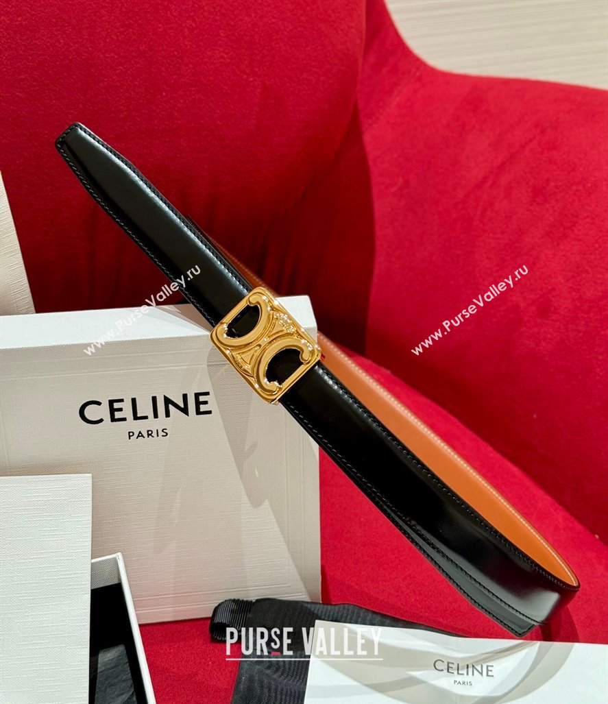 Celine Medium Taurillon Leather Belt 2.5cm with Framed Triomphe Buckle Black/Brown/Gold 2025 CE011005 (99-240110049)