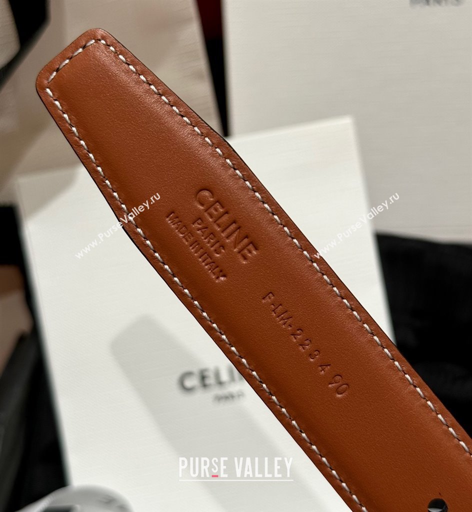 Celine Medium Taurillon Leather Belt 2.5cm with Framed Triomphe Buckle Black/Brown/Gold 2025 CE011005 (99-240110049)