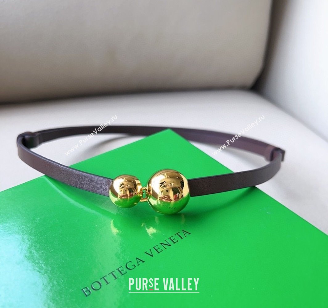 Bottega Veneta Calfskin Belt with Gold Spheres Buckle Dark Brown 2025 0315 (99-250315077)