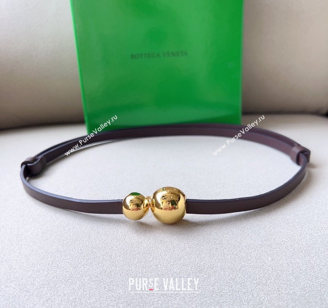 Bottega Veneta Calfskin Belt with Gold Spheres Buckle Dark Brown 2025 0315 (99-250315077)
