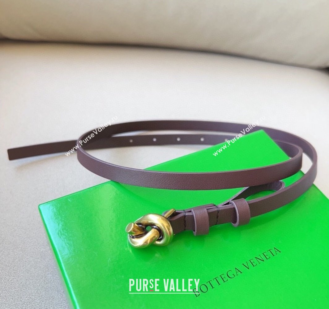 Bottega Veneta Womens Soft Calfskin Belt 1.5cm with Knot Buckle Dark Brown/Gold 2025 0315 (99-250315083)