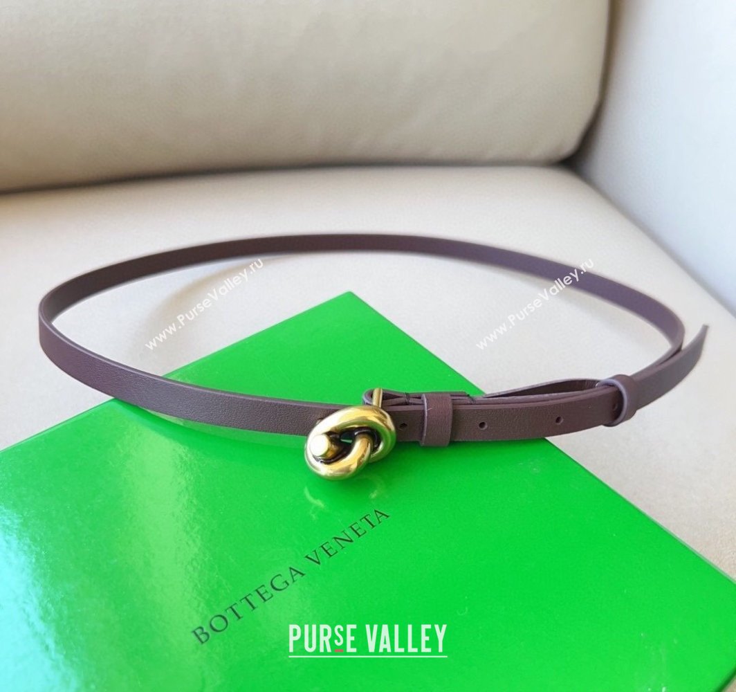 Bottega Veneta Womens Soft Calfskin Belt 1.5cm with Knot Buckle Dark Brown/Gold 2025 0315 (99-250315083)