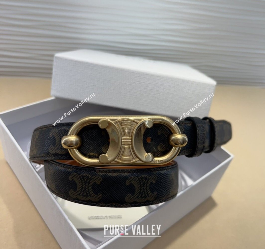 Celine Canvas Belt 2.5cm with Metal-Tone Triomphe Buckle Brown 2025 0317 (99-250317014)