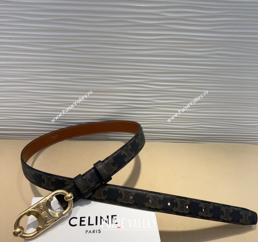 Celine Canvas Belt 2.5cm with Metal-Tone Triomphe Buckle Brown 2025 0317 (99-250317014)