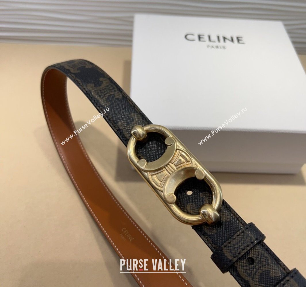 Celine Canvas Belt 2.5cm with Metal-Tone Triomphe Buckle Brown 2025 0317 (99-250317014)