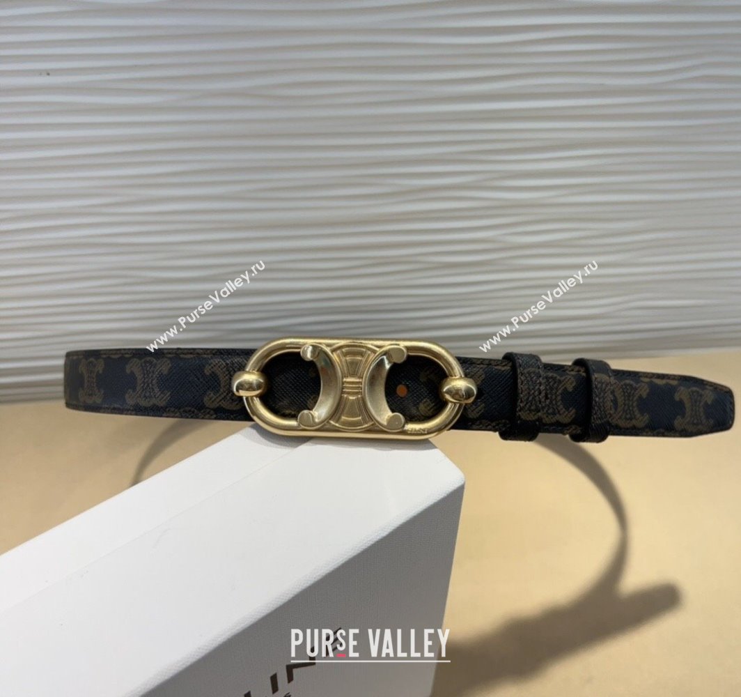 Celine Canvas Belt 2.5cm with Metal-Tone Triomphe Buckle Brown 2025 0317 (99-250317014)